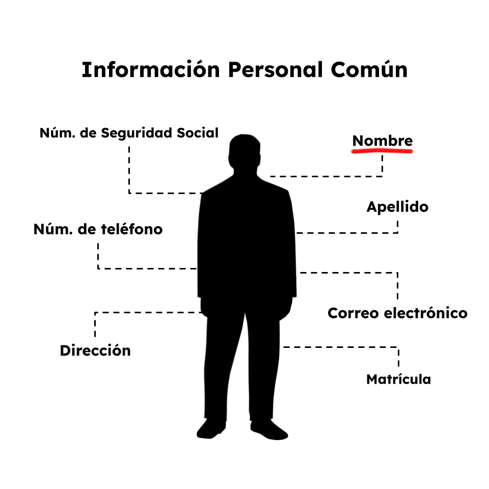 Tipos de Datos Personales